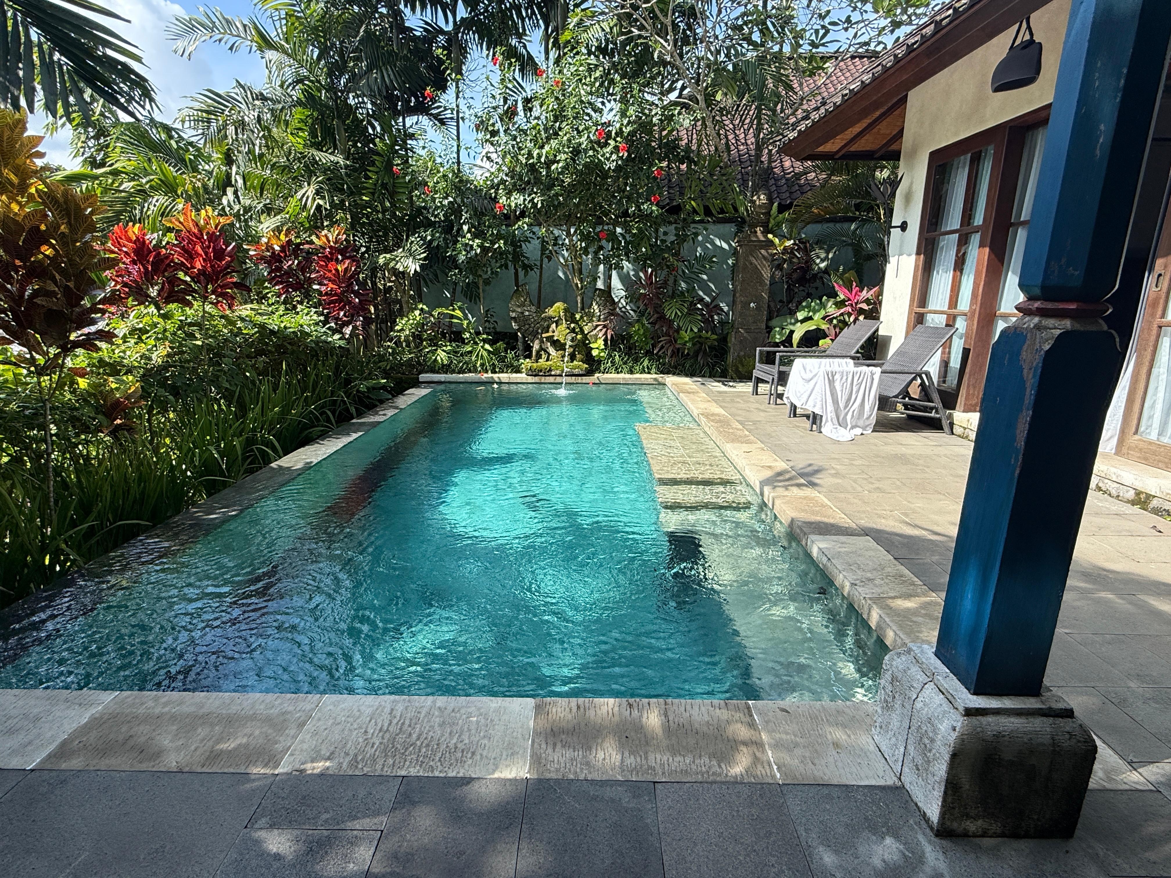 Another angle of the garden view pool.