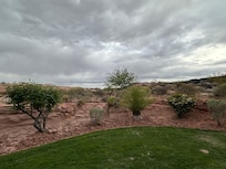 Morning from the backyard.