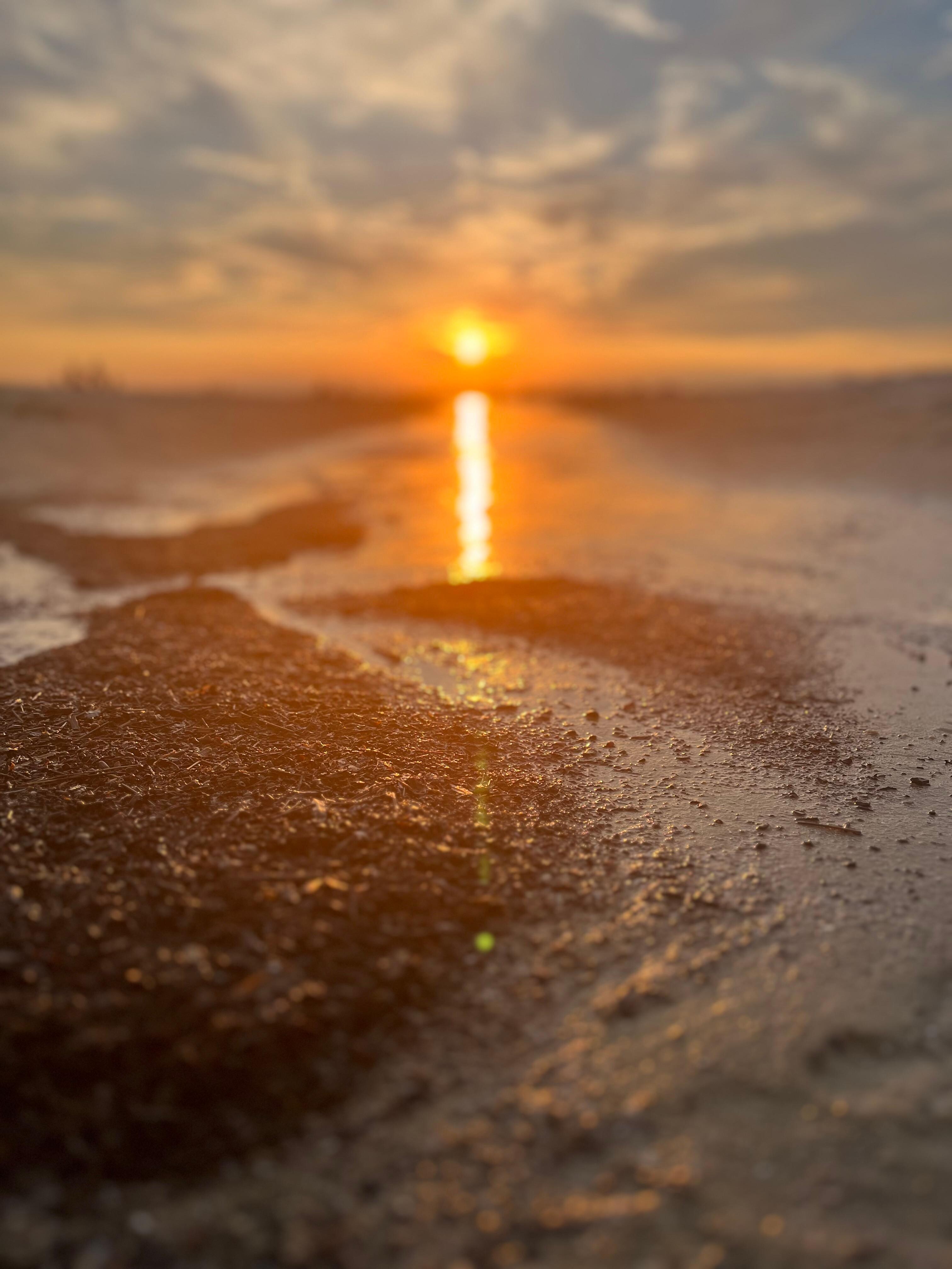 Sunset by condo