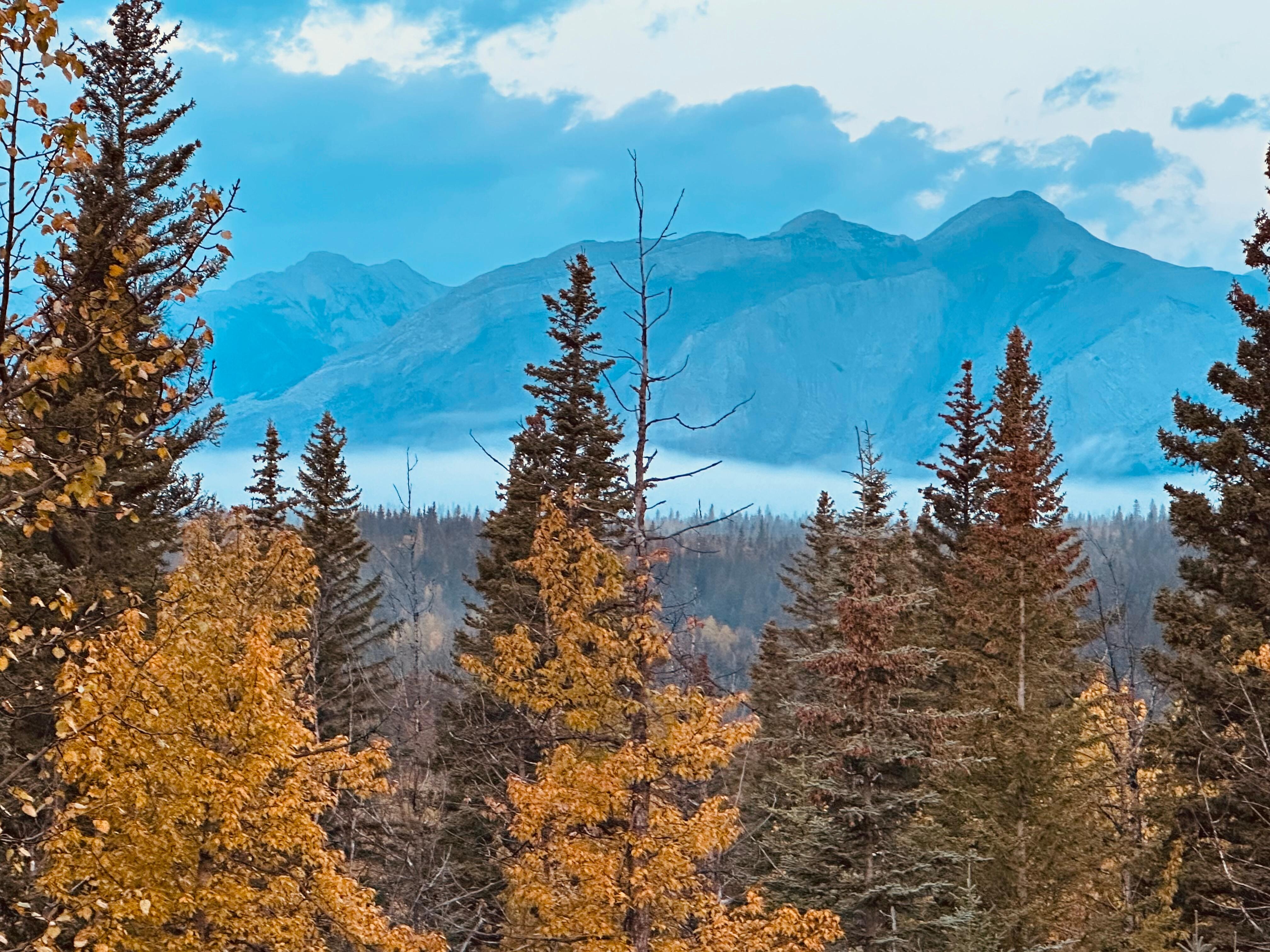 Morning view from suite 2