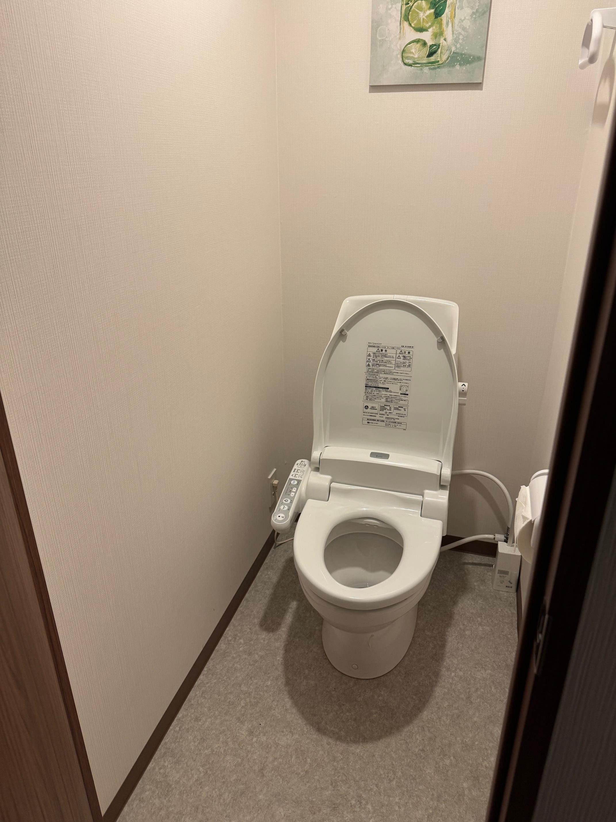 Separate toilet (which is great)