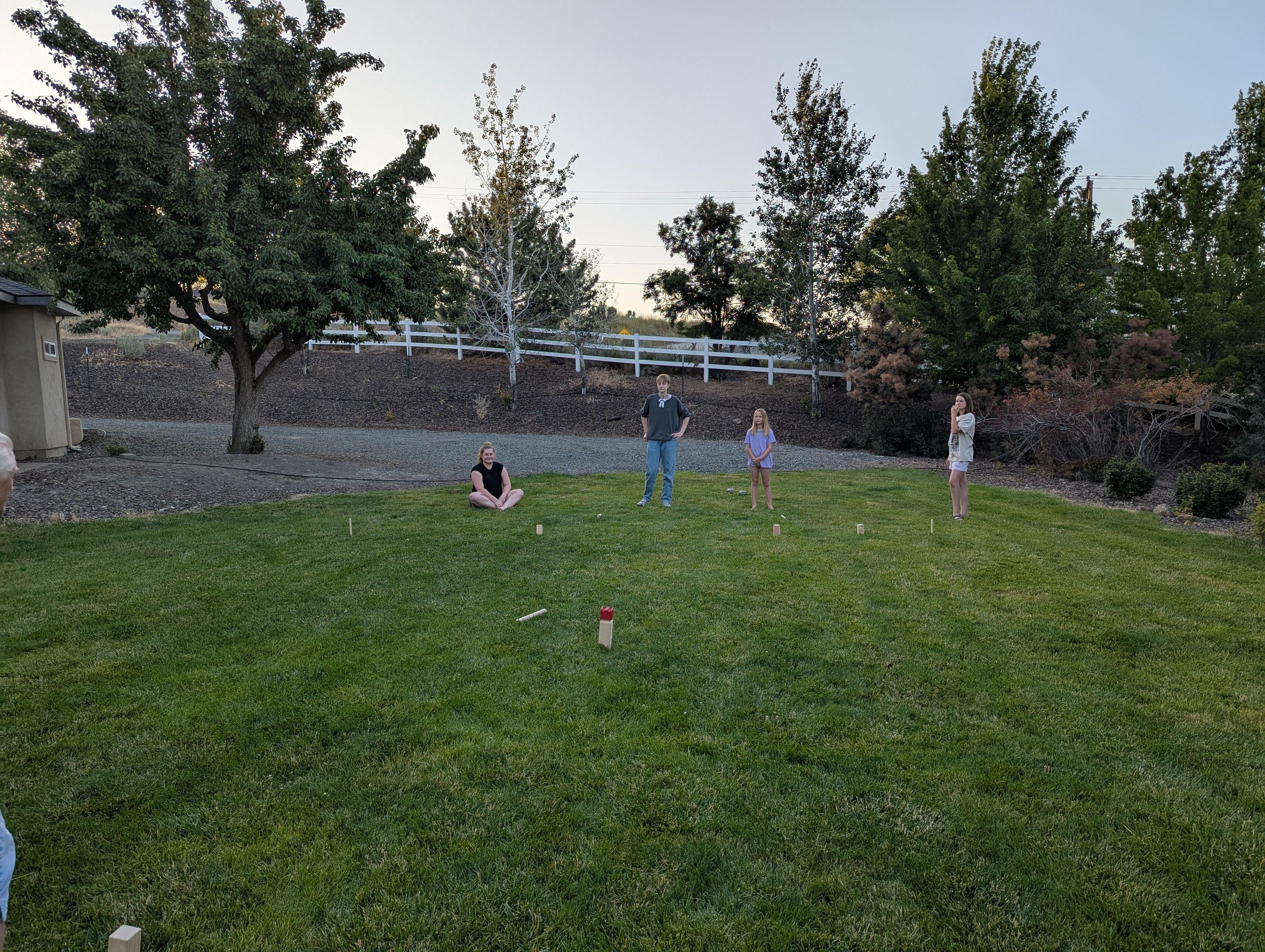 Kubb on the lawn. Grown ups won!