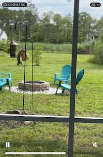 View from the screened porch: cute Squirrel enjoying the birdseeds