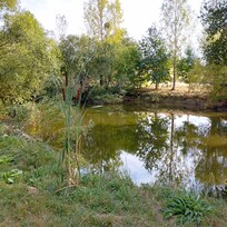 Petit étang des propriétaires
