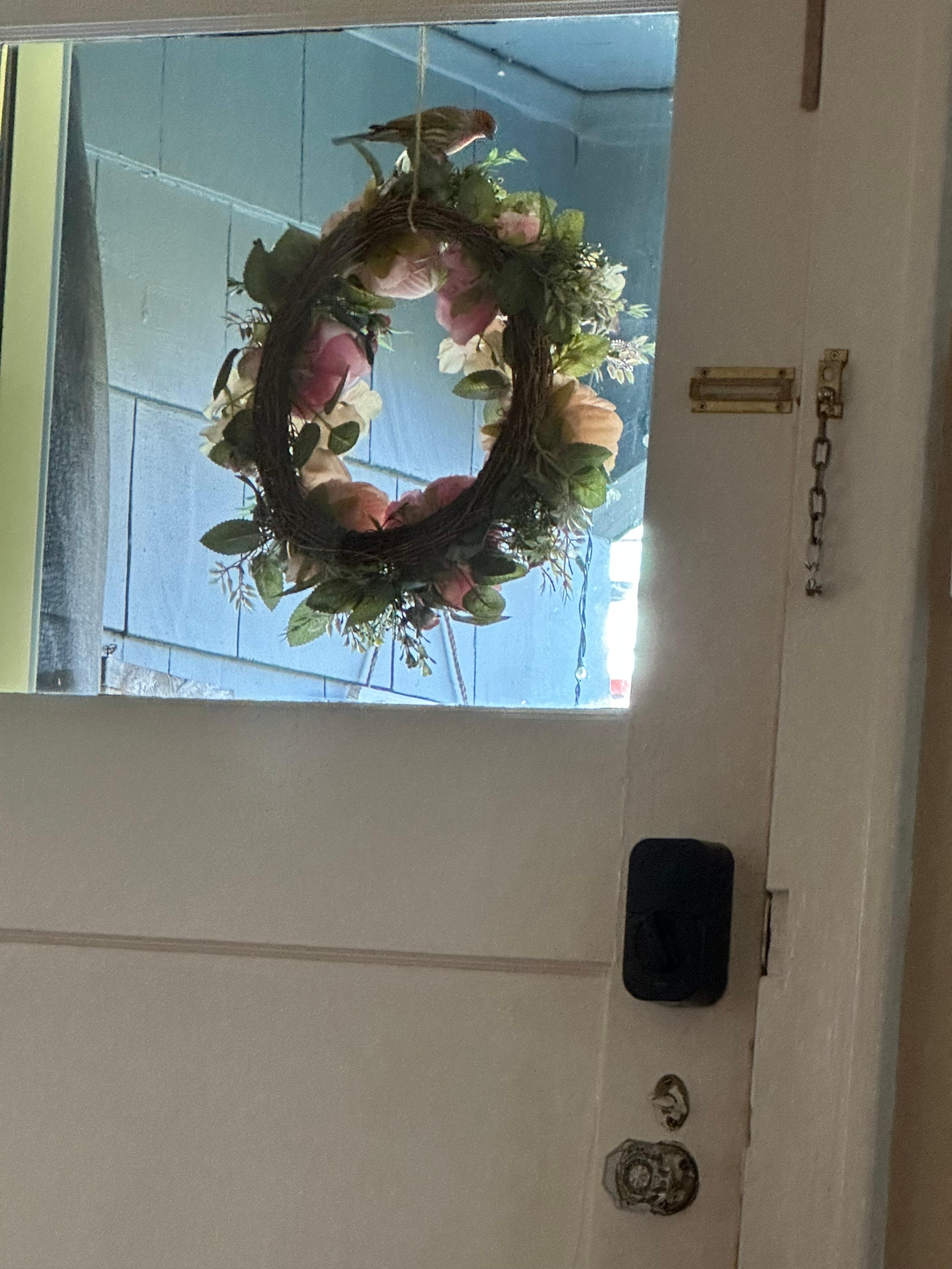 A finch stopped by while we were there 