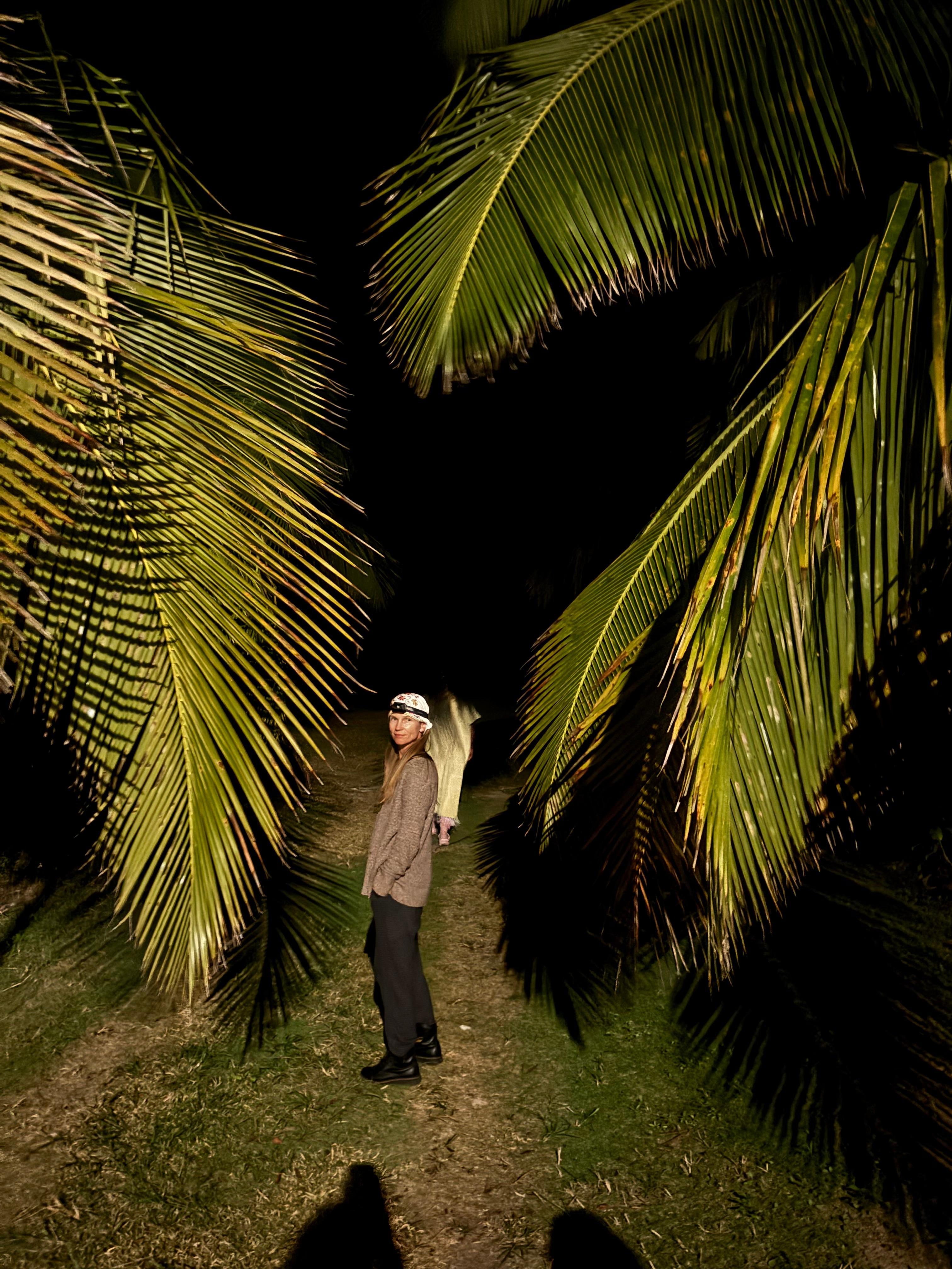Walking through the palms for a peek at the stars before going to bed. So many stars to see!
