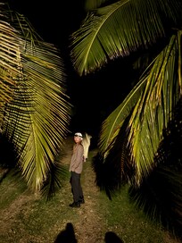 Walking through the palms for a peek at the stars before going to bed. So many stars to see!