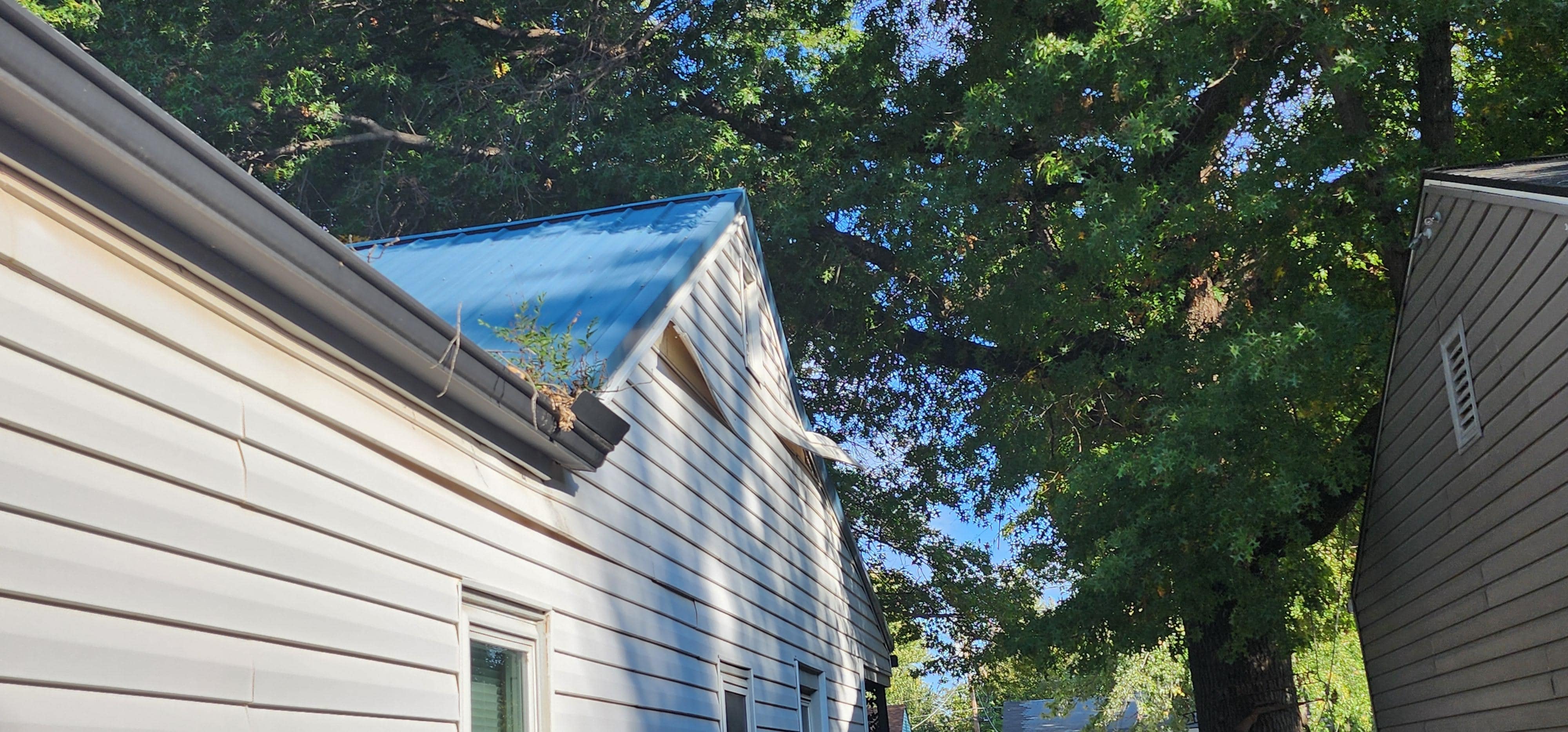 Siding separating both sides of the house