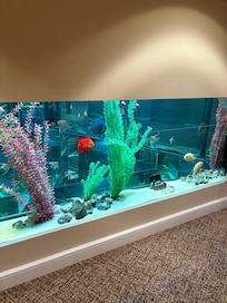 How magical to be greeted by the fish when you come out of the lift
