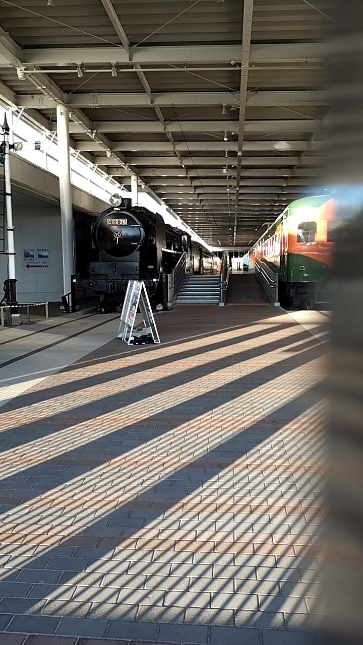 朝から散歩。