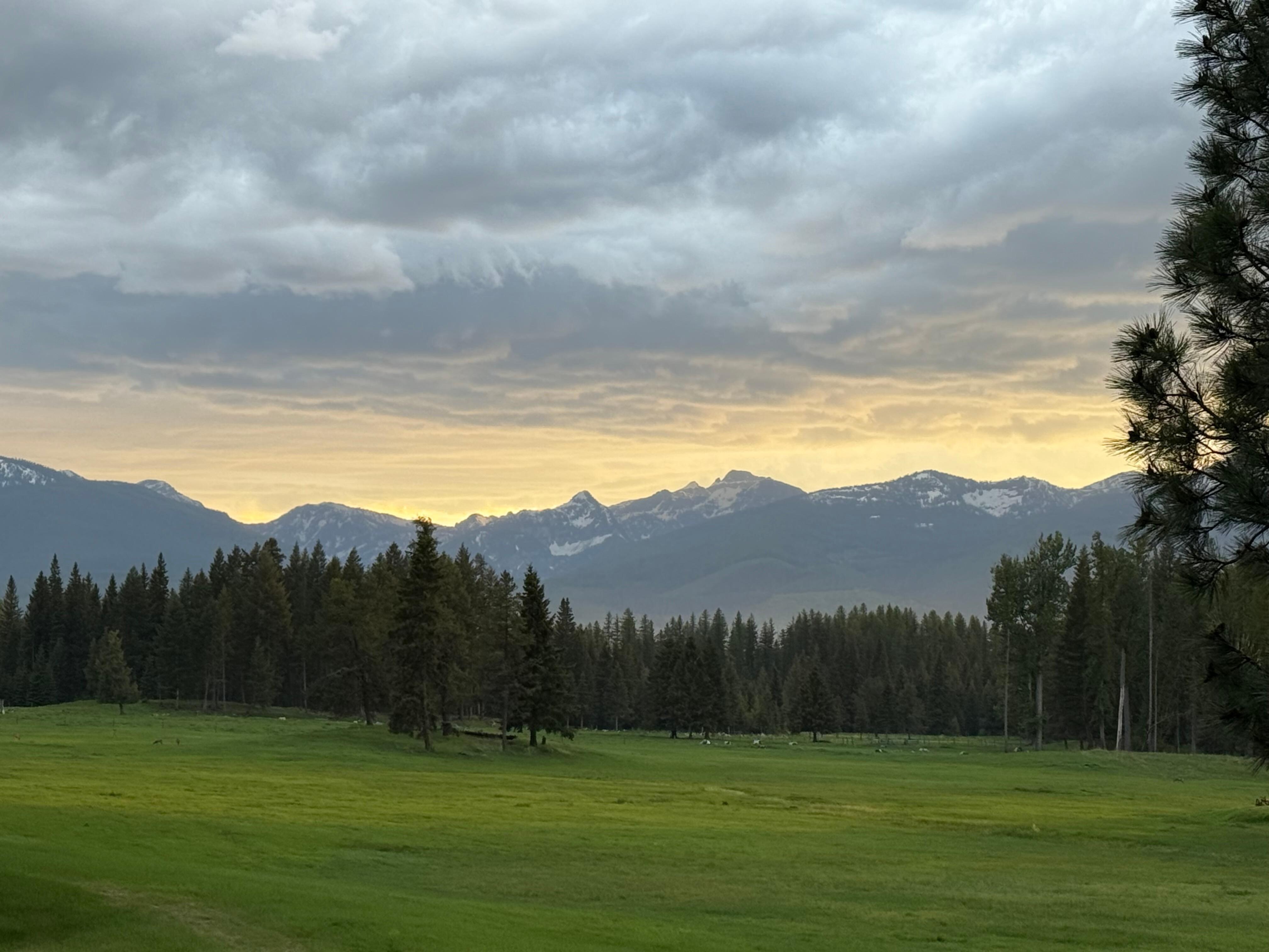 View from cabin