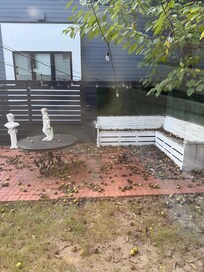 No dinning room table in the house and backyard was a mess