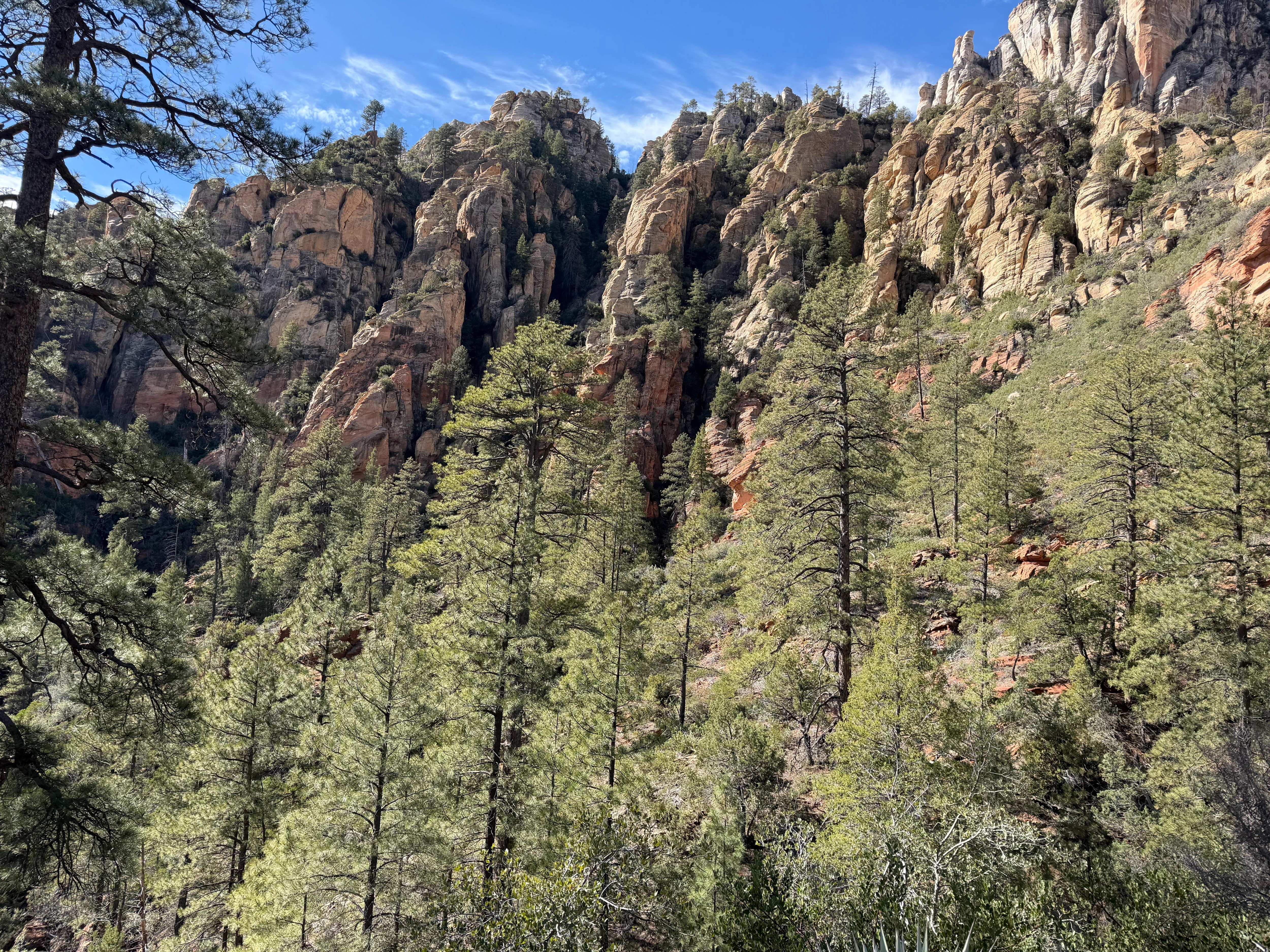 View from the hiking trail 