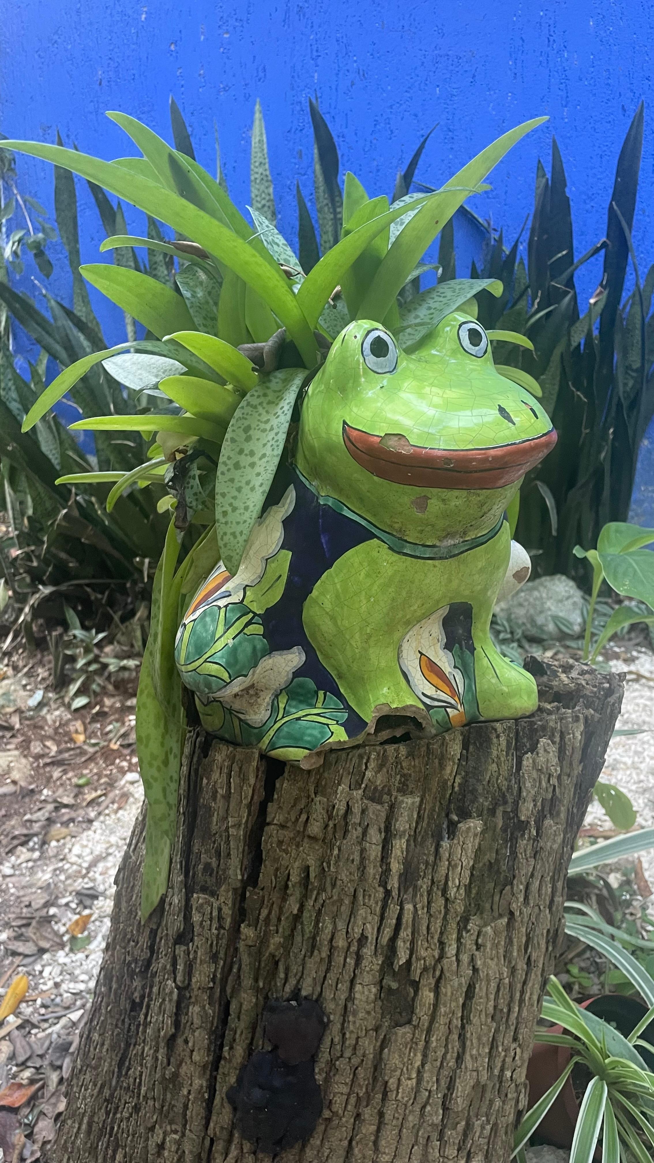 ¡Un encantador jardín lleno de sorpresas ocultas!