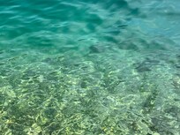 Beautiful aqua water at Perast
