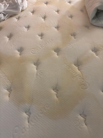 This was the mattress cover underneath the sheets