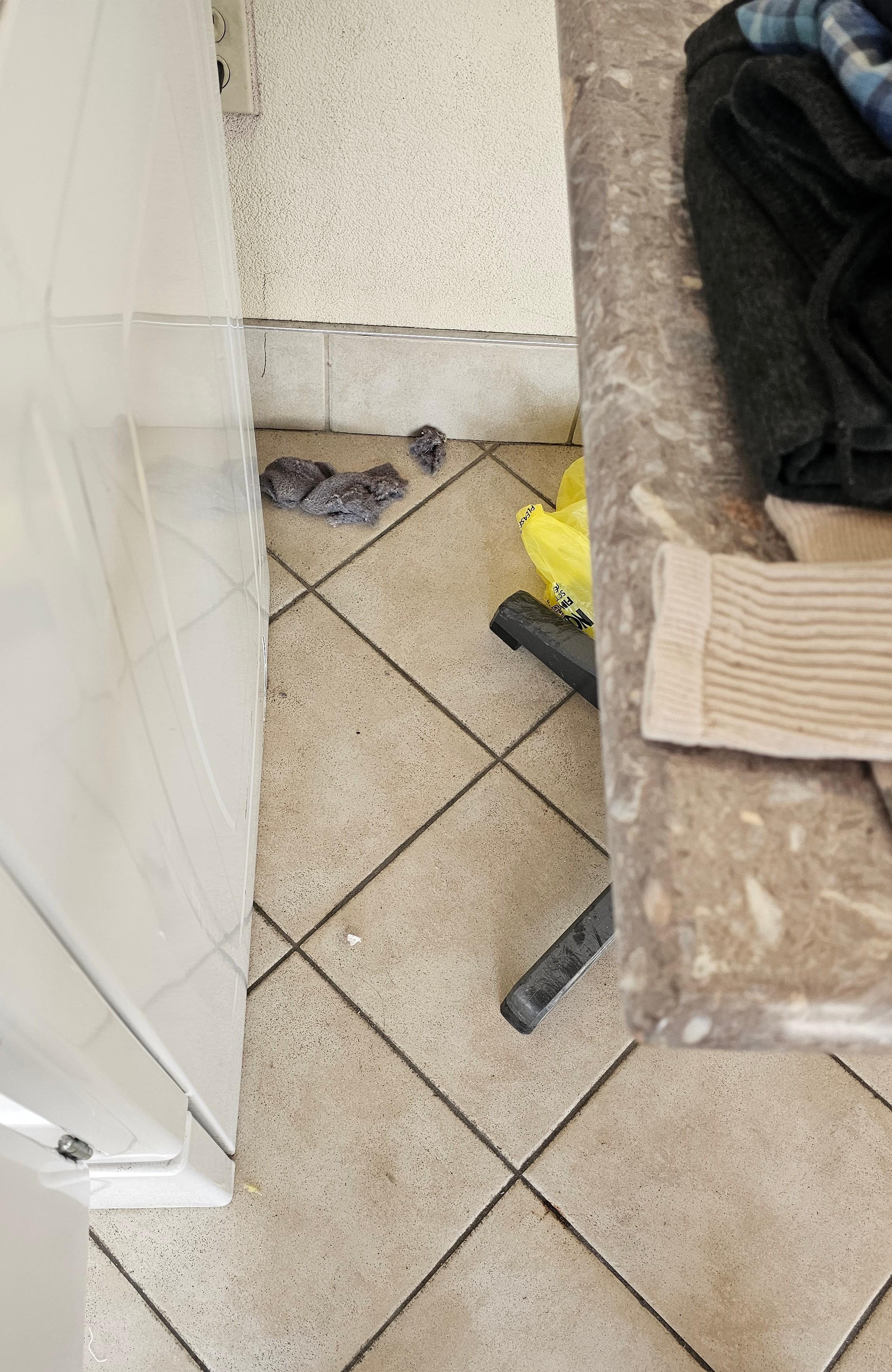 No trash can to throw lint/ trash in from the dryer so people throw it on the floor.