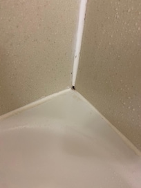 Showing the bathroom issues