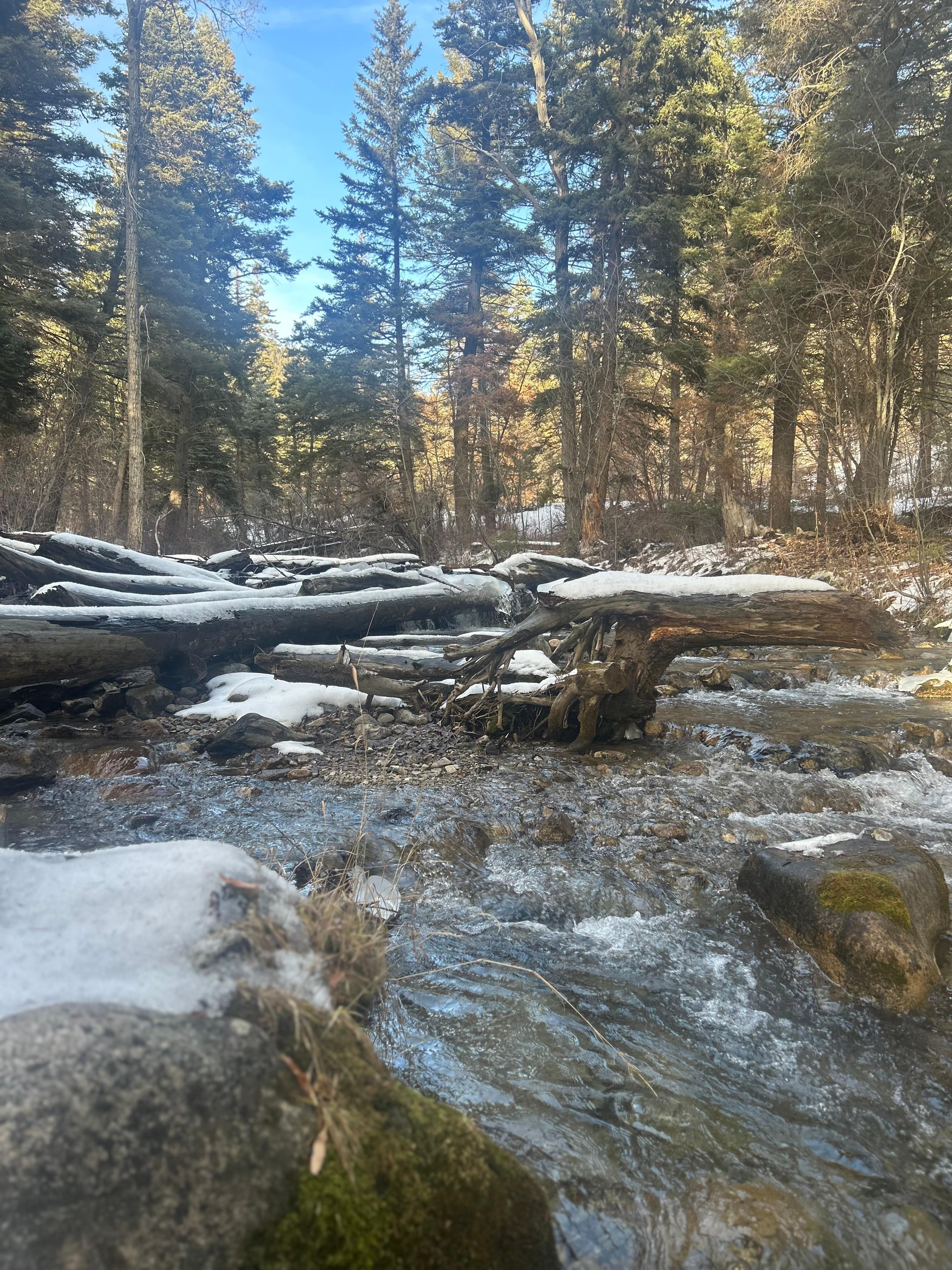 Hiking near the house 