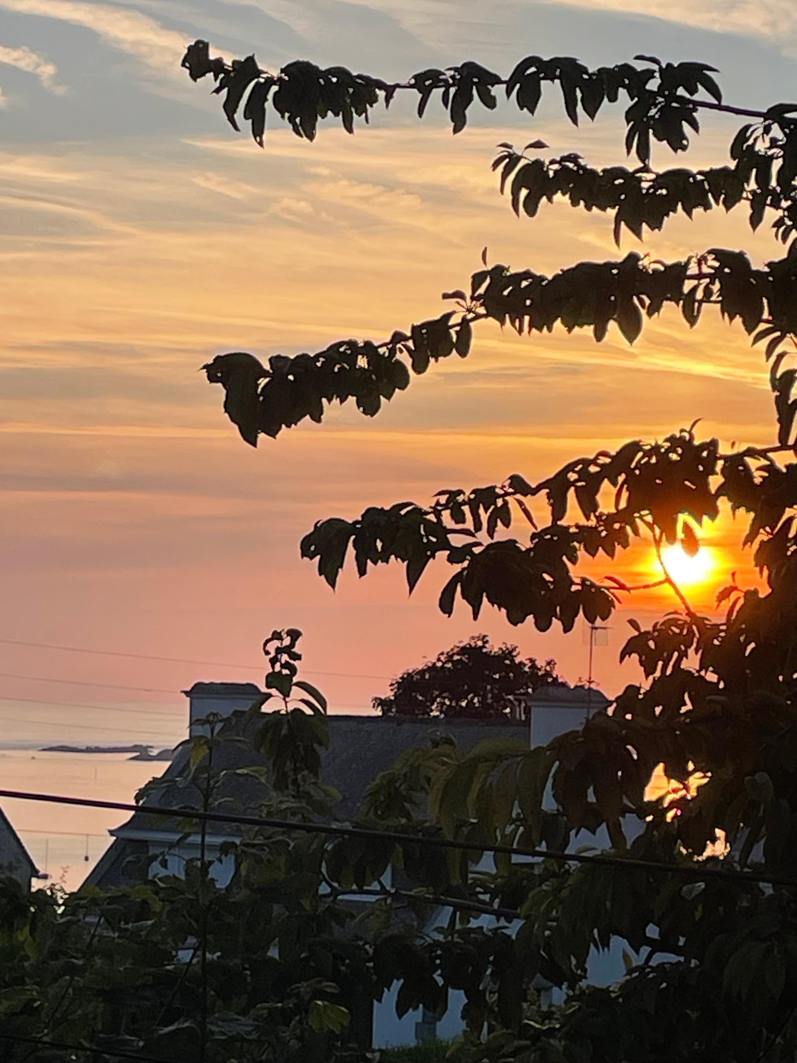 Blick von der oberen Terrasse 