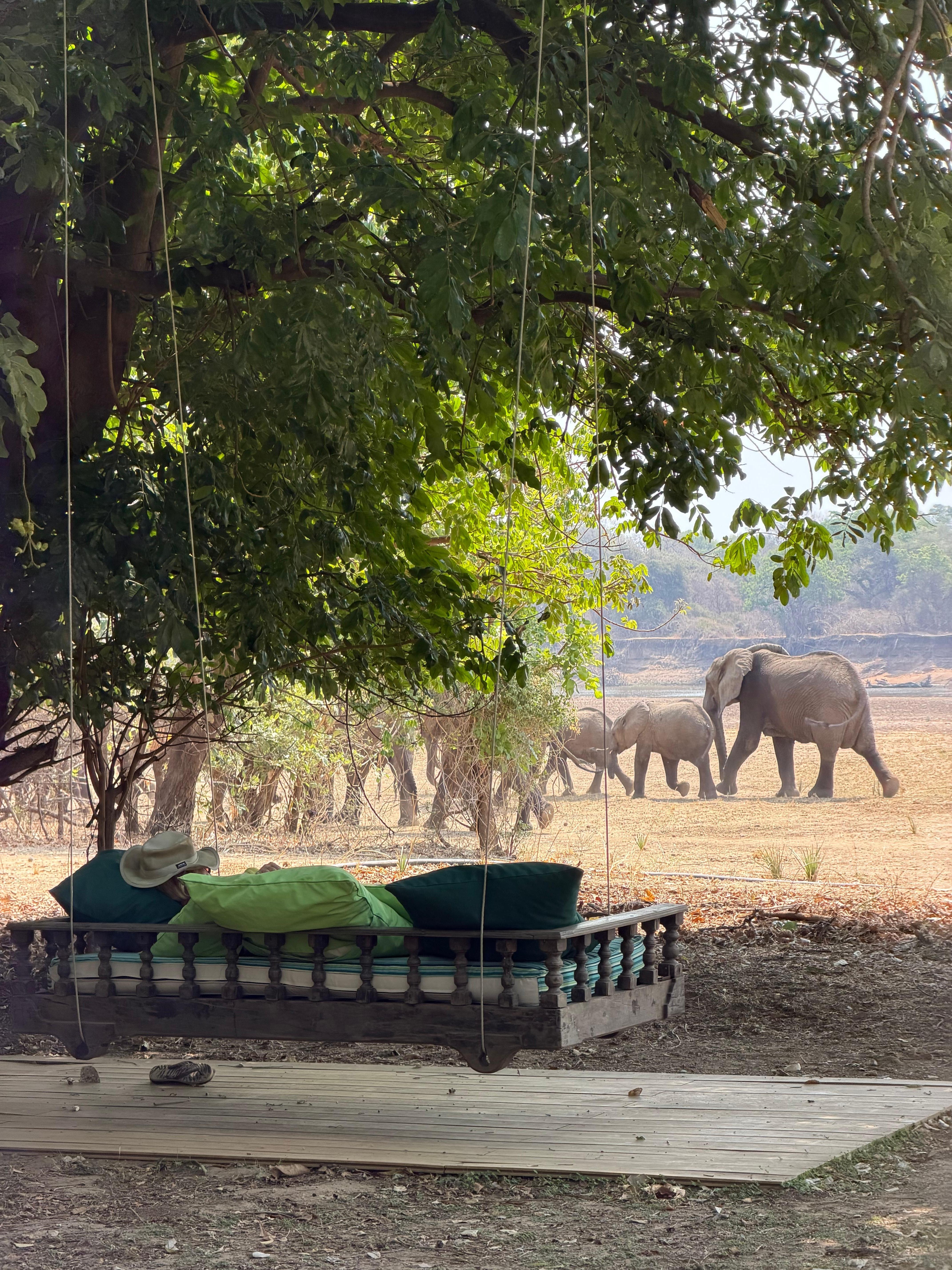 Swing facing the river