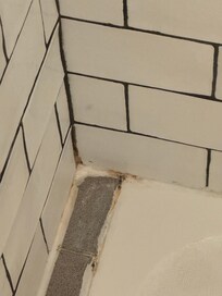 More mold