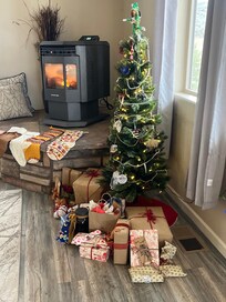 Christmas morning Desert Rose style