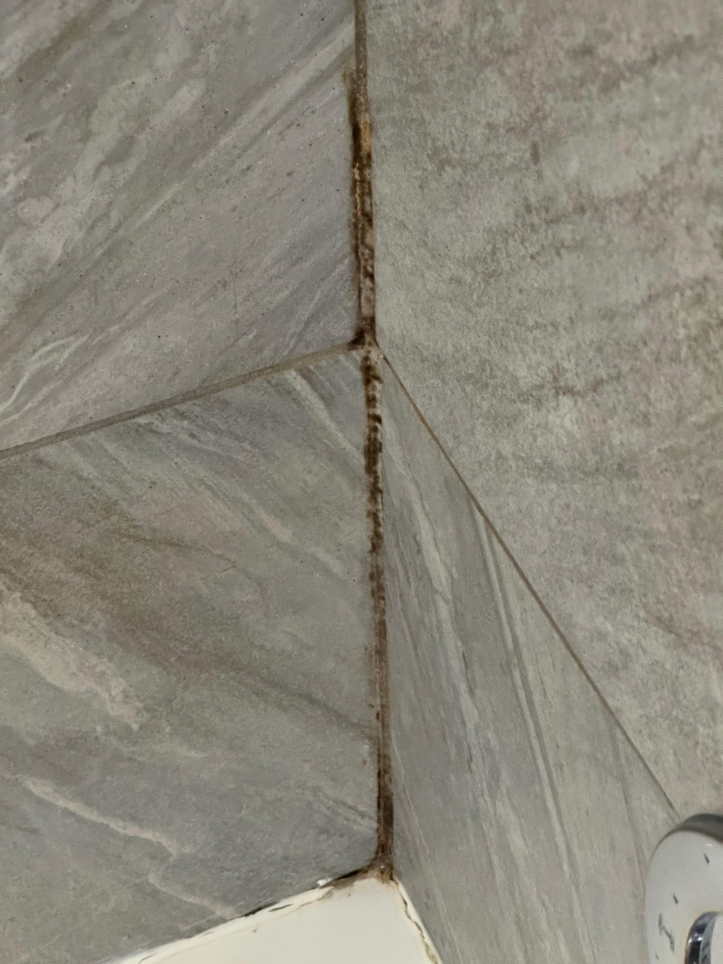 Moldy grout