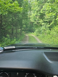 Driveway to the property.