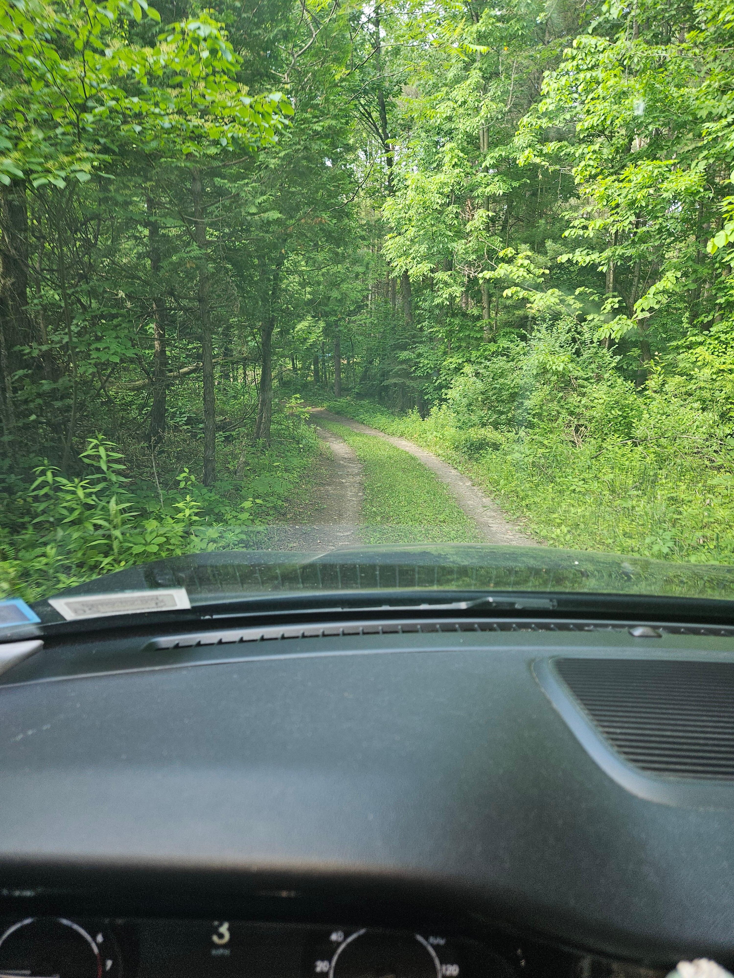 Driveway to the property. 