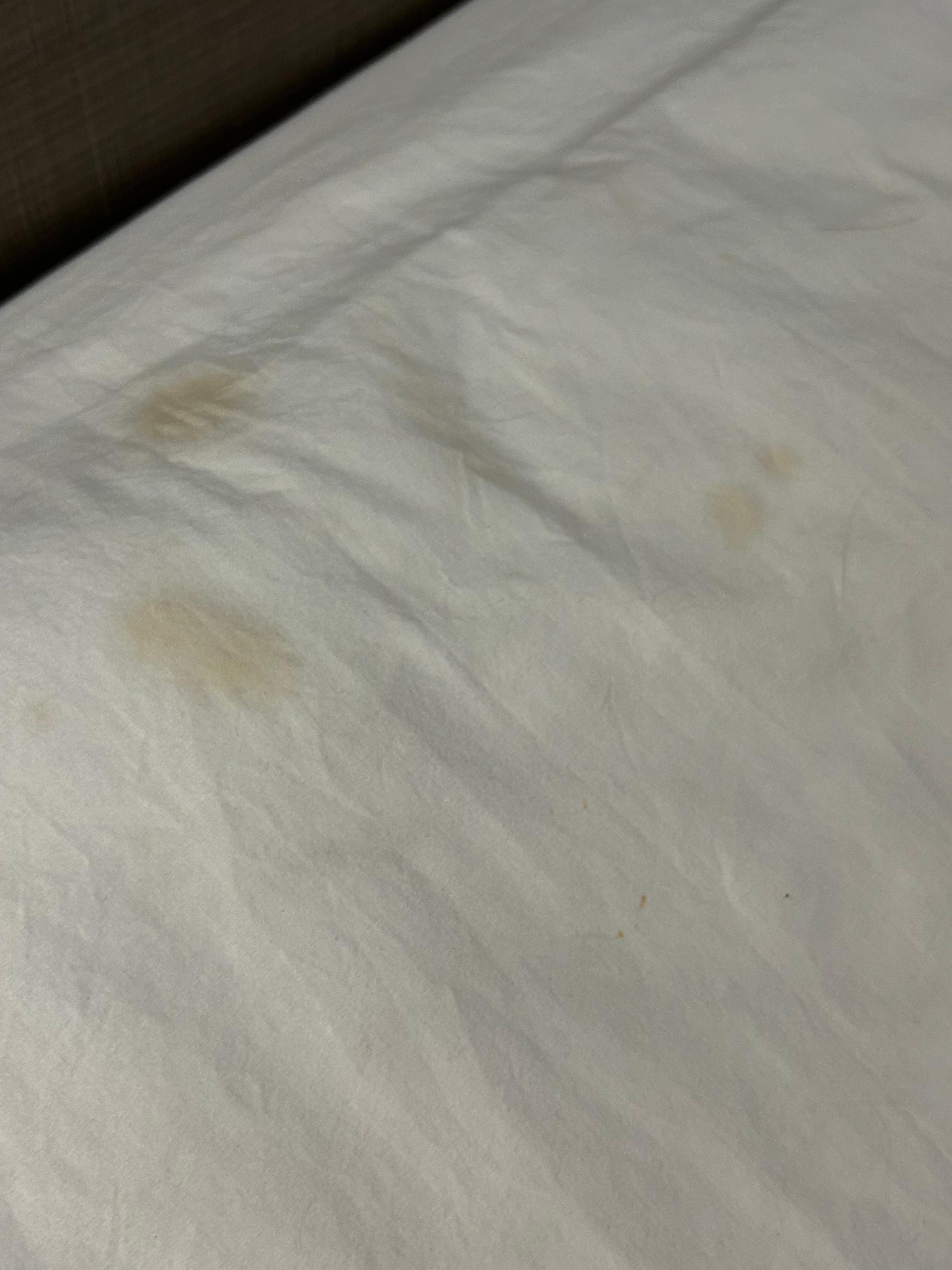 Sheets has spots all over
Bed had bedbugs
