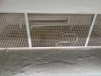 Ceiling above sink with mold and damaged wallpaper
