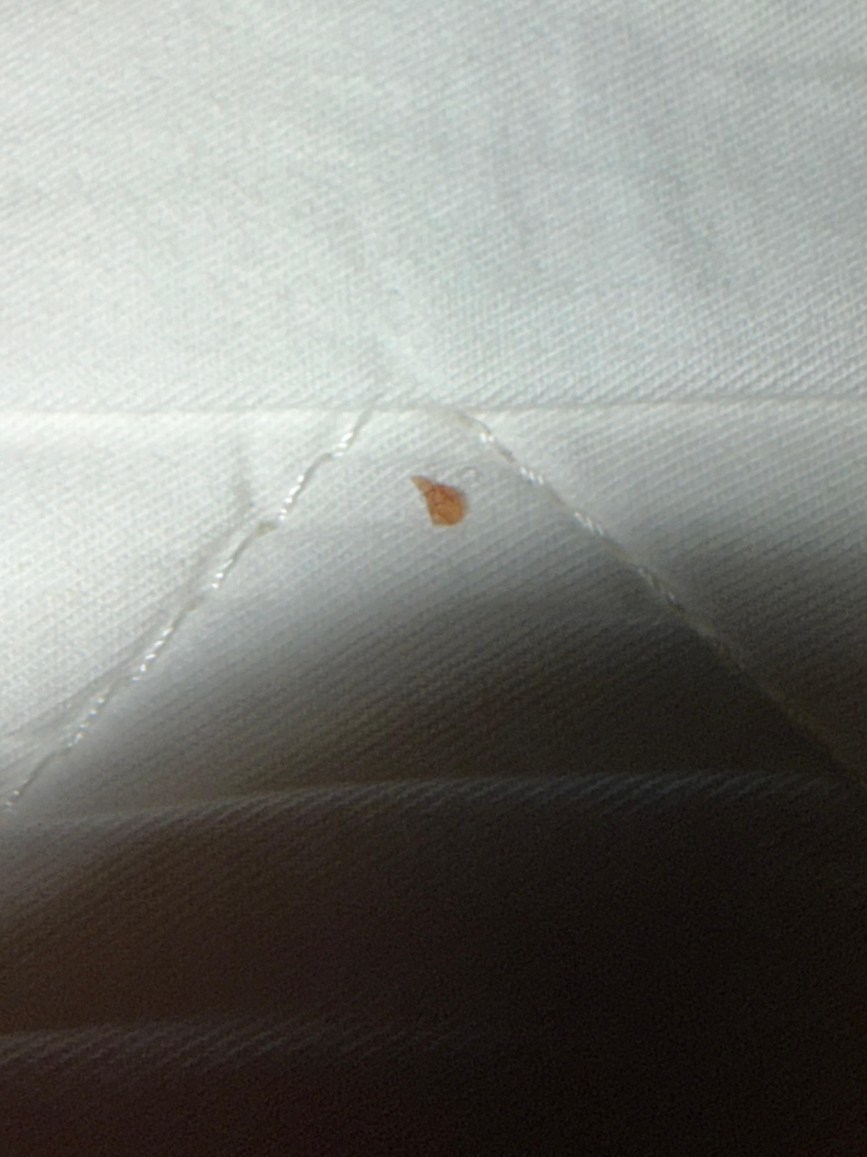 Third room between middle sheets 