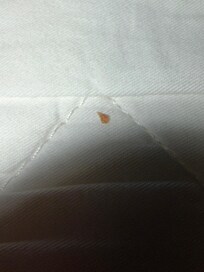 Third room between middle sheets