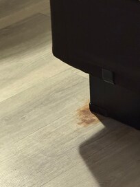 What looks like Blood stains on floor at the foot of one of the beds. It was on both corners of the foot of the bed on the floor.