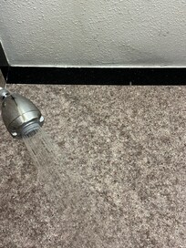 Had a leak at the showerhead wetting the ceiling.. drops of water from the ceiling falling on you as you showered