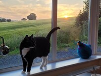 The views out of the windows in the sun room are absolutely gorgeous! It's like a postcard. You can just relax and look at the rolling green hills.