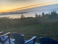 Morning view