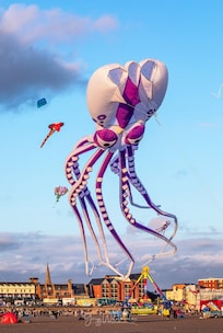 Kite festival