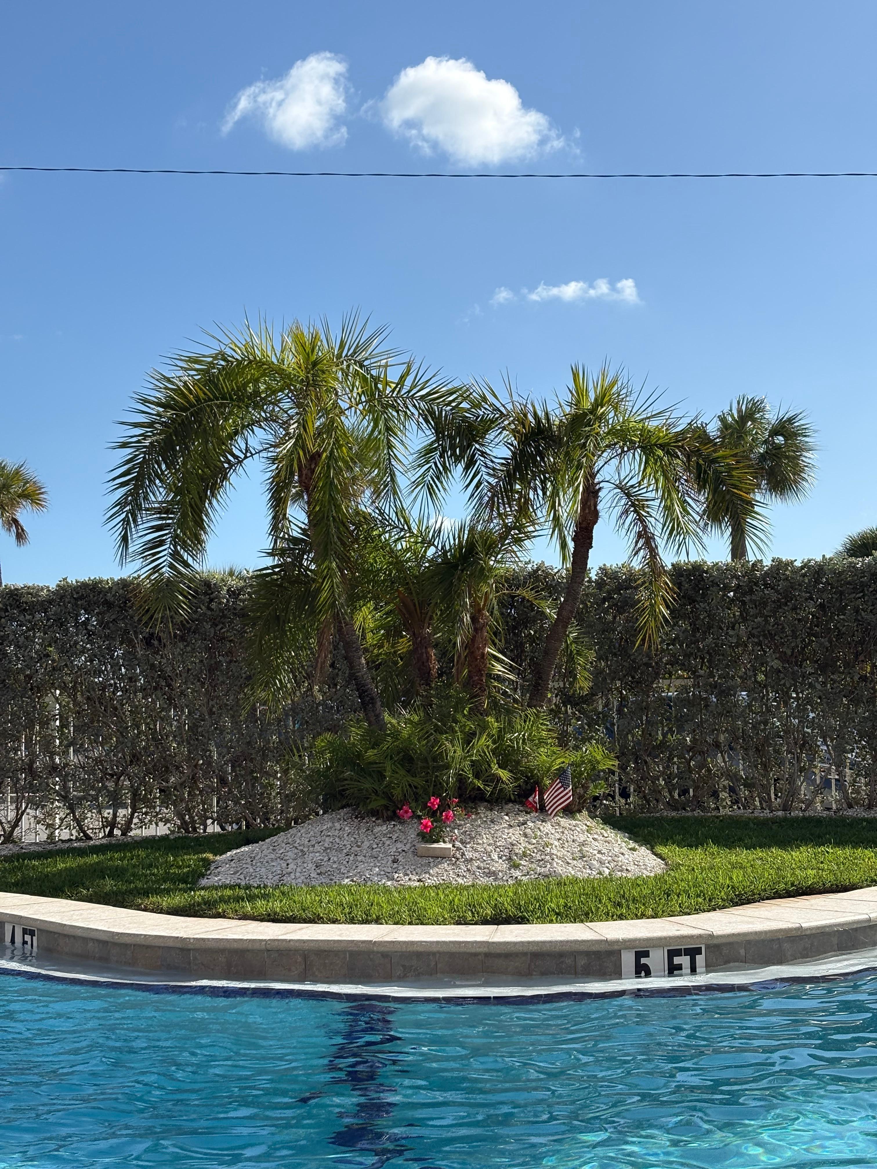 Pretty pool setting 