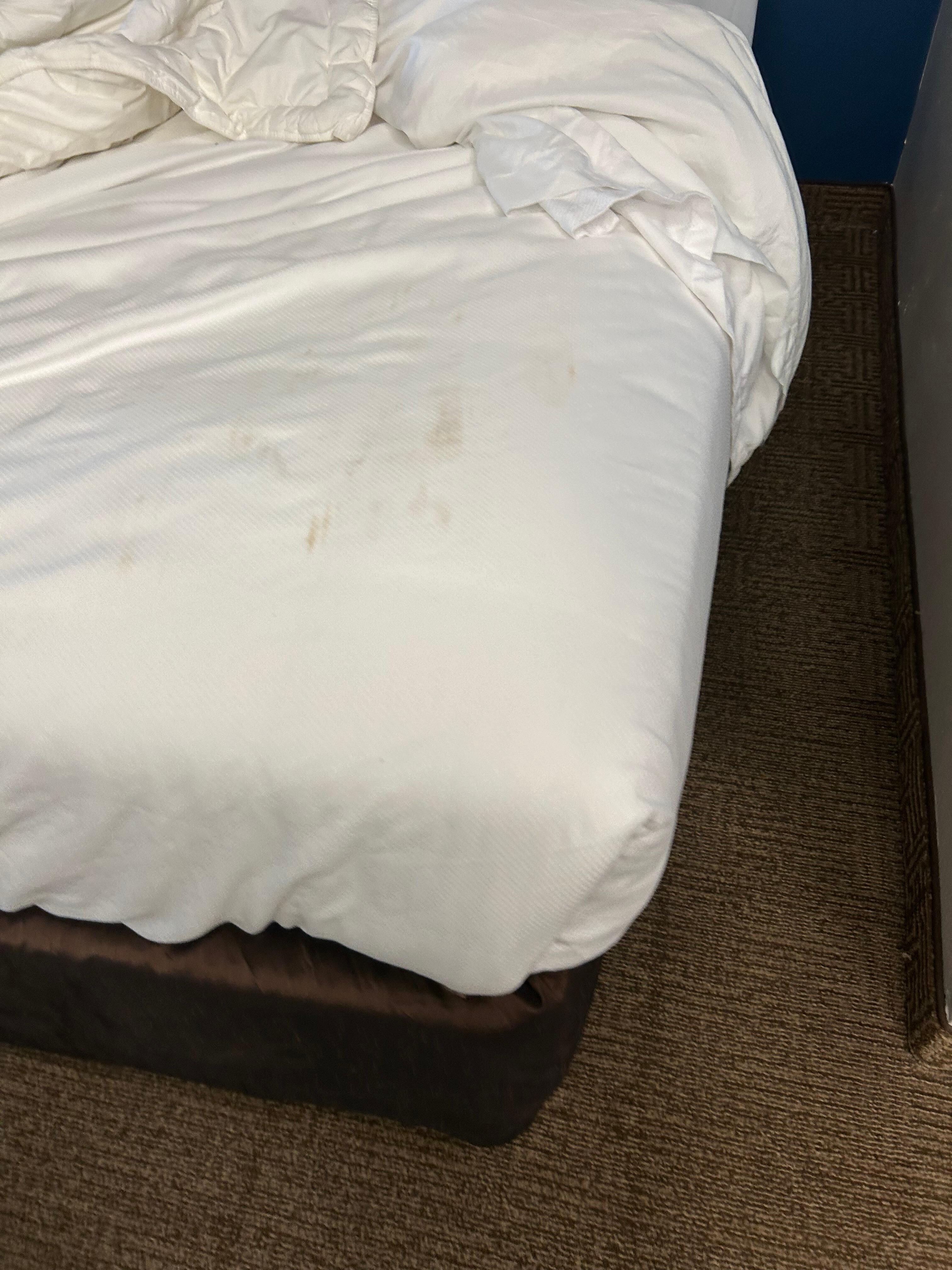 This is the bed as we pulled it back to check for bedbugs the stains on the comforter