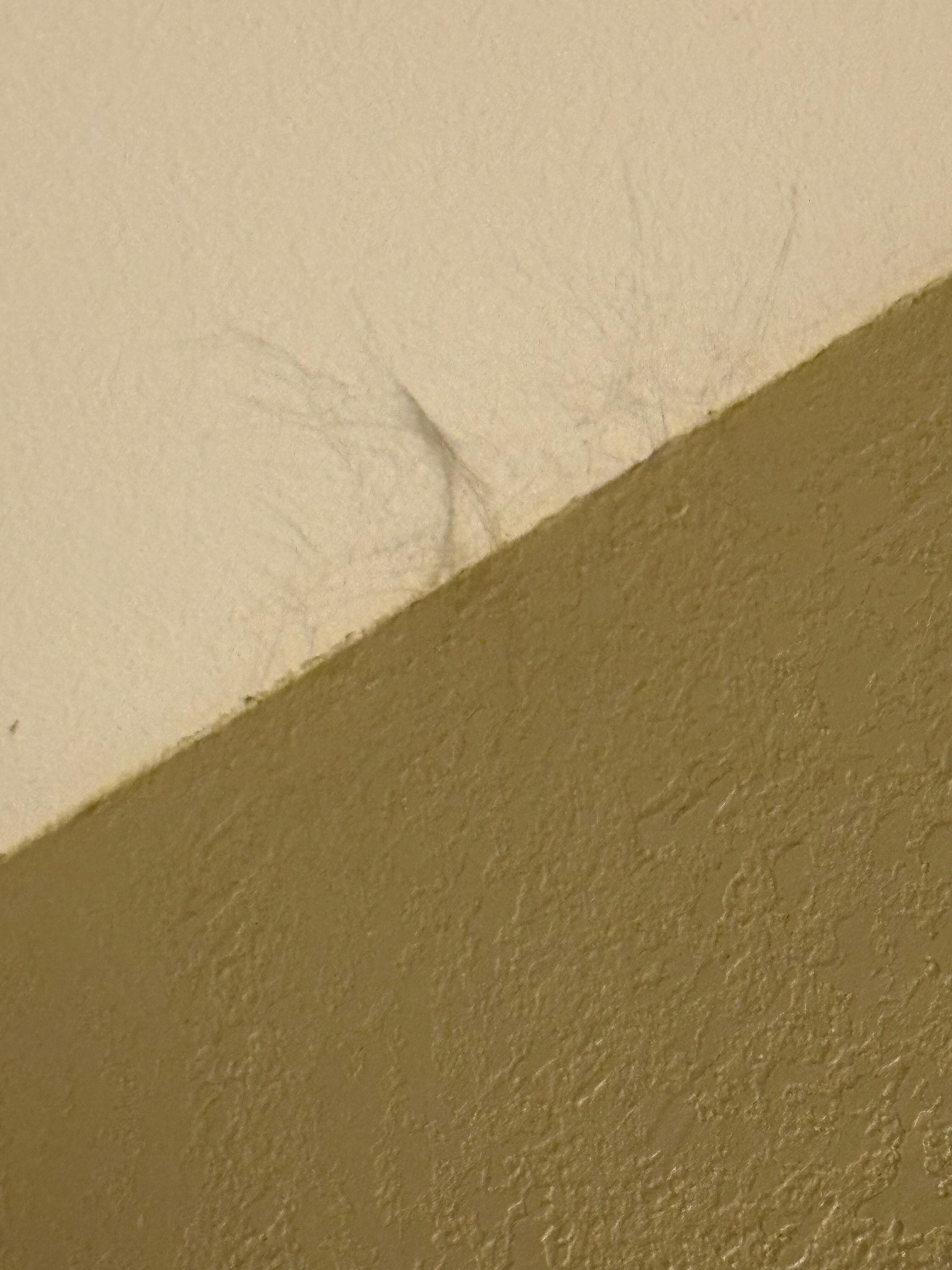 Cobb webs in wall/ceiling