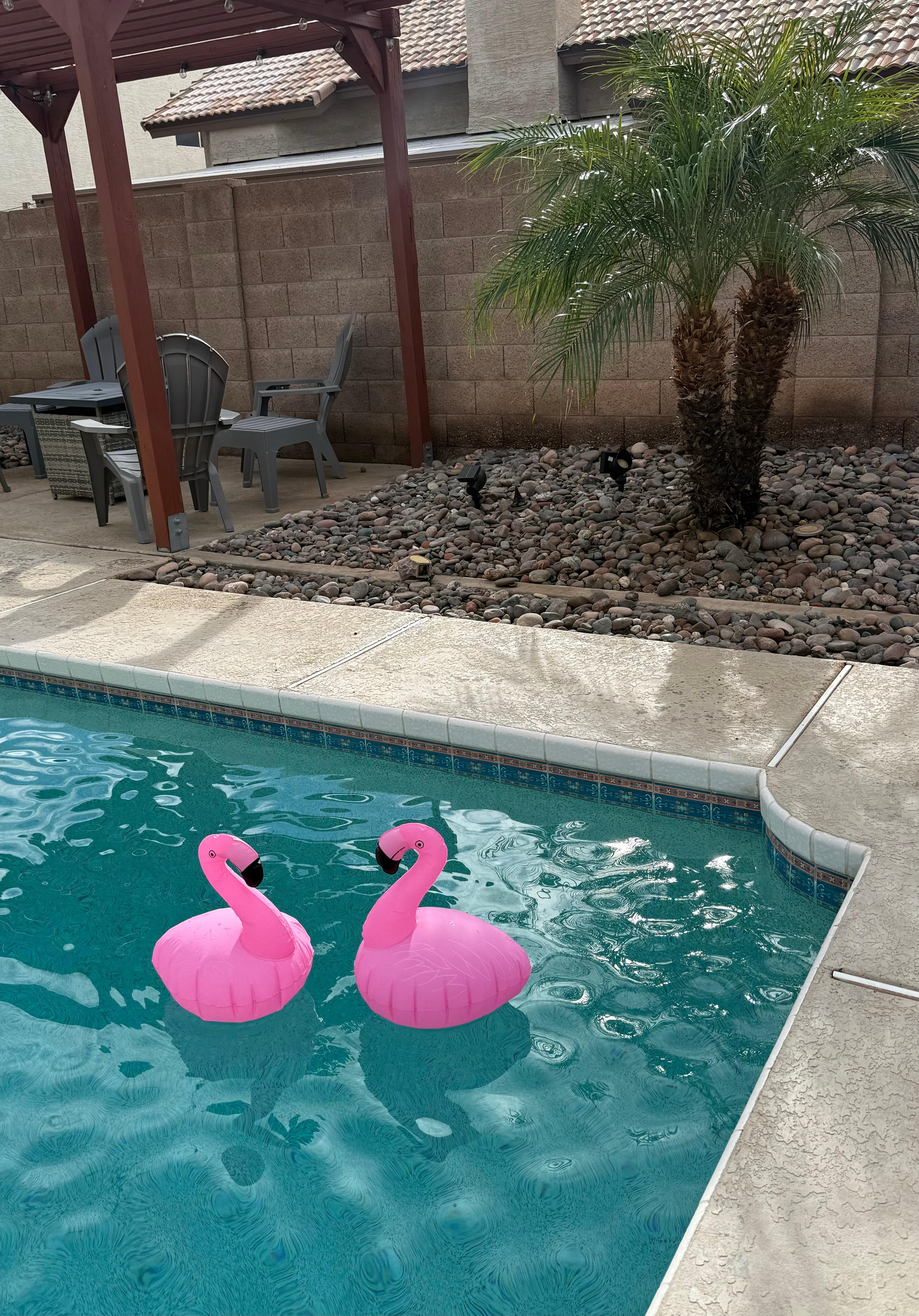 Our best friends throughout our stay!