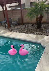 Our best friends throughout our stay!