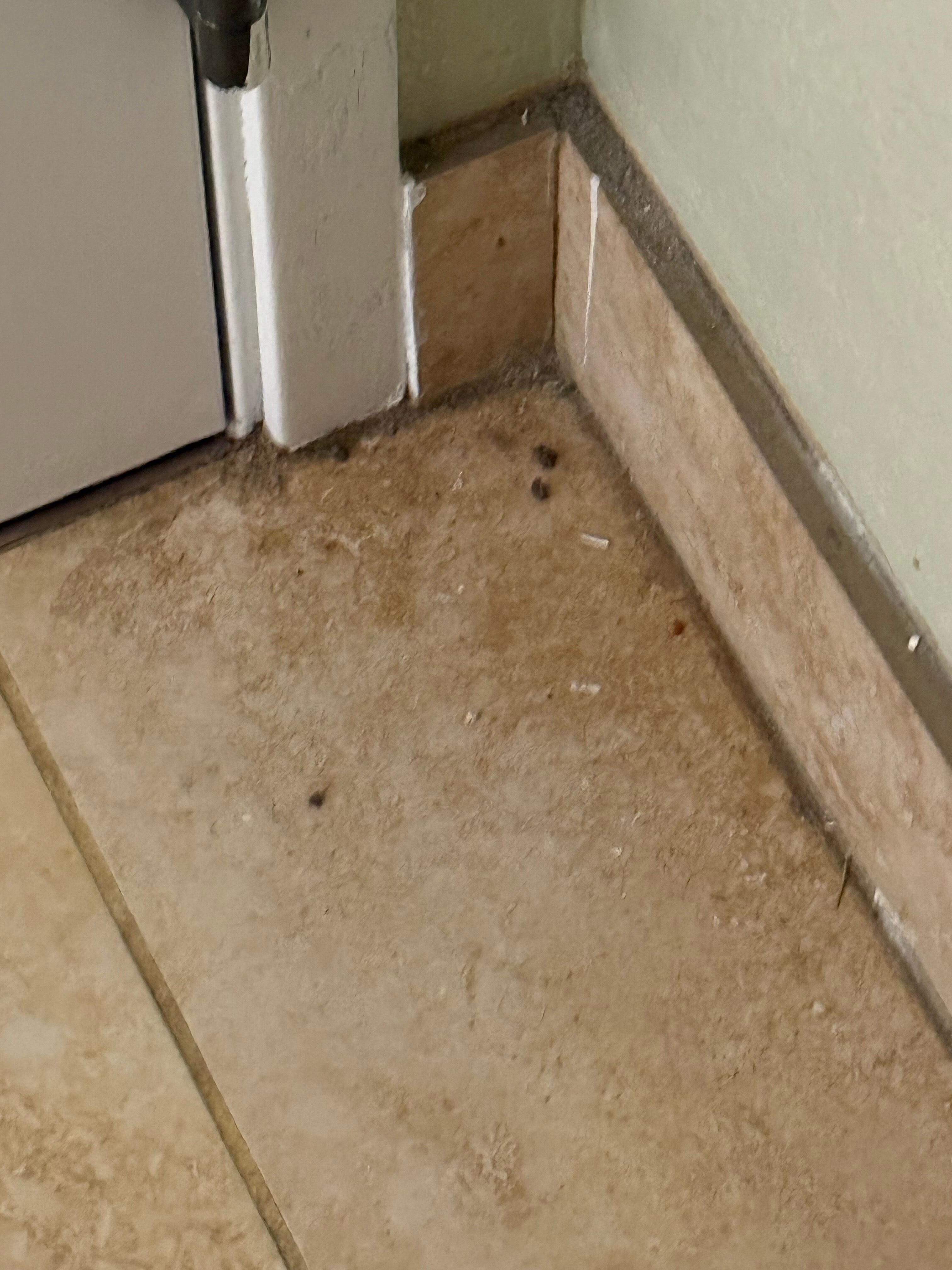 Behind the door in the entryway. 