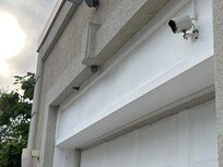 Wasp nests