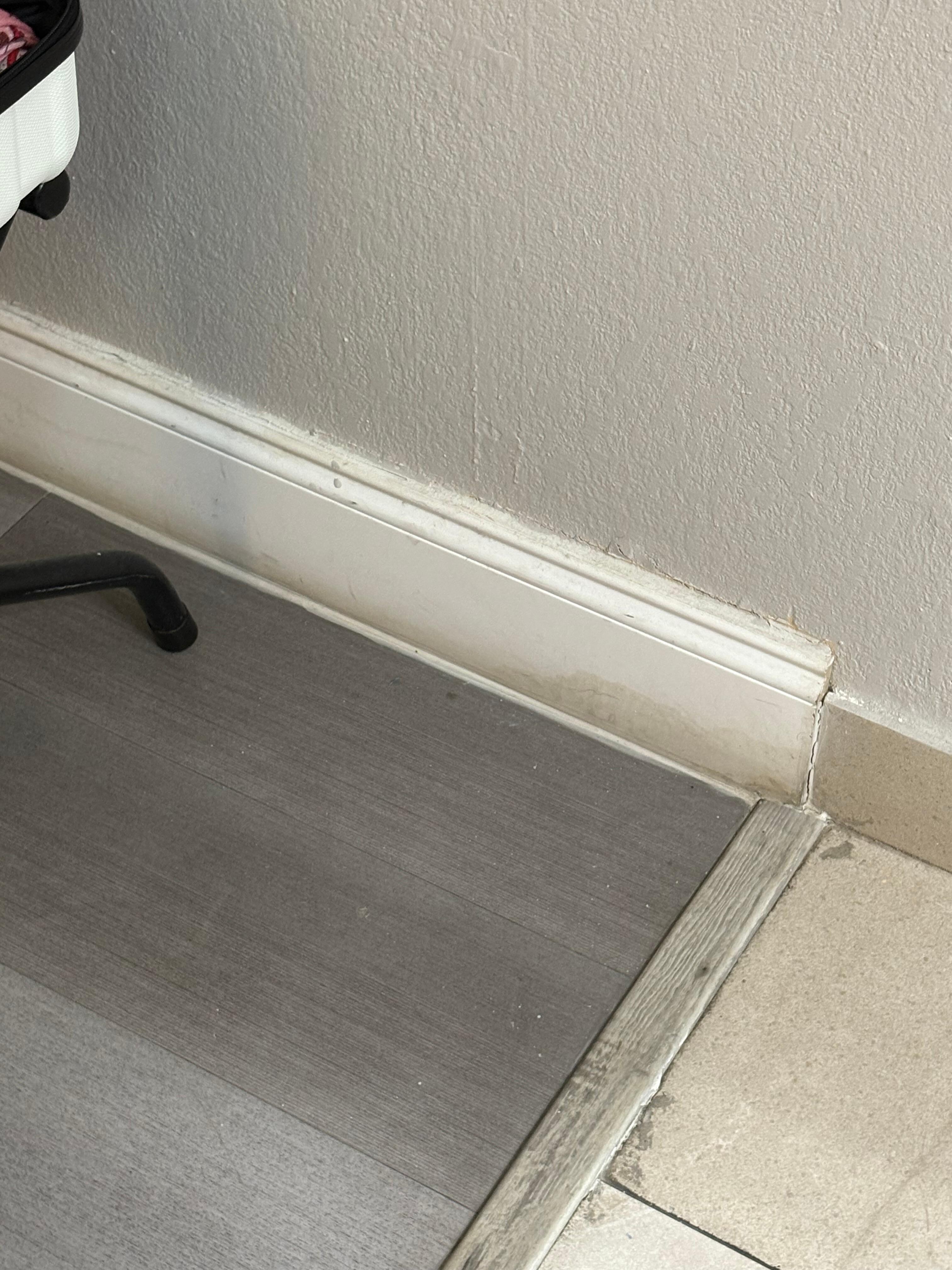 Mold