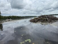 Beaver Lodge Mitchell Lake - Aug. 2025