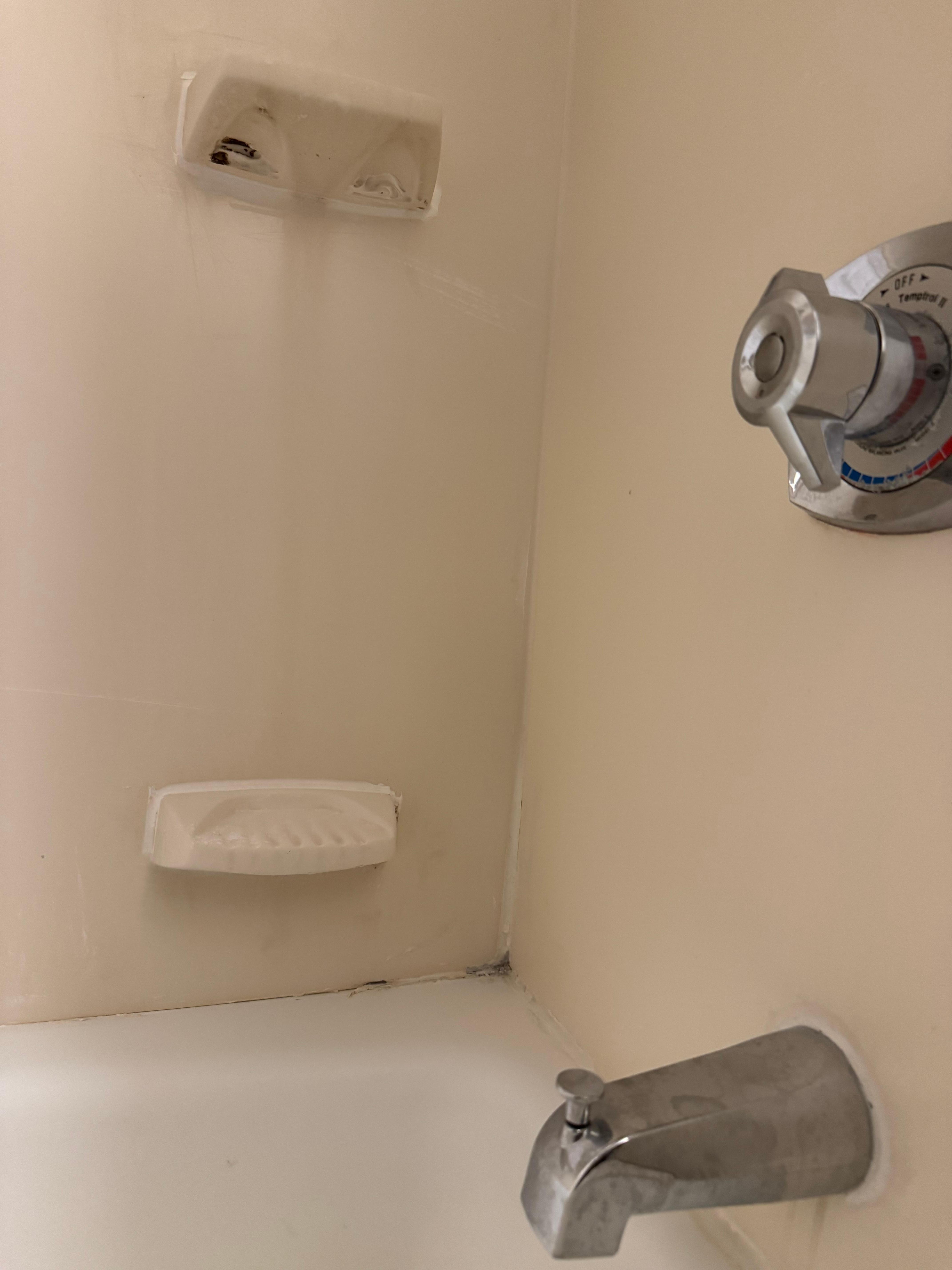 Mold in bathroom 