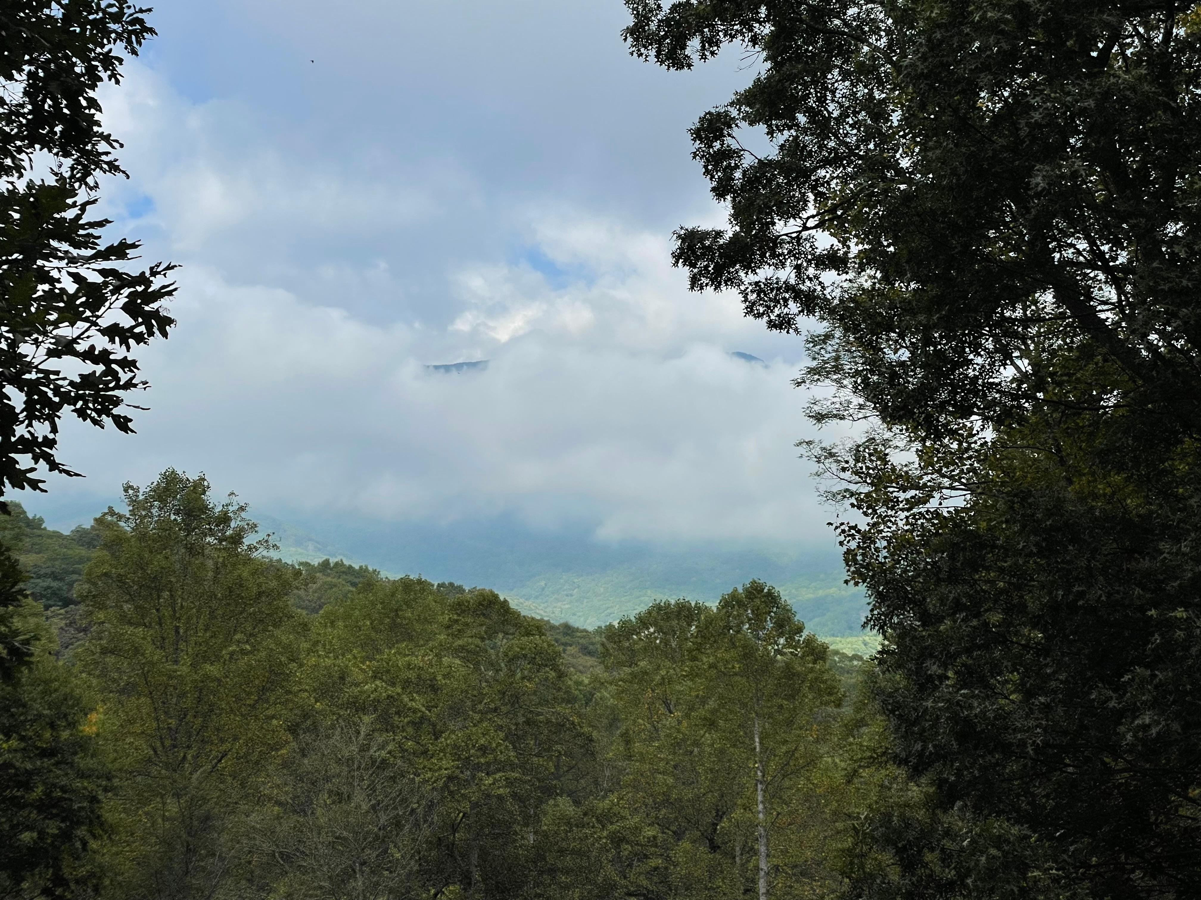 Mountain view from property